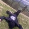 xdeath