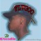 Flvgoo