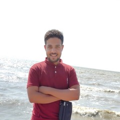 محمد ربيع طيبي