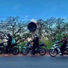 Vo Quoc Viet