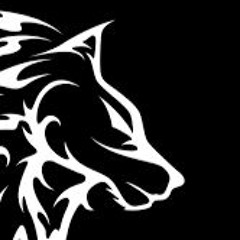 COMPOR T.|demos e promos