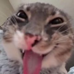 Em Gái Mưa x Ai Cho Anh Lương Thiện - D.DUY ( 9527).mp3