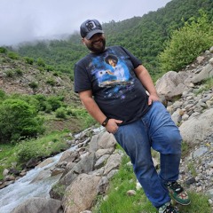 Saeid Hamzehlo