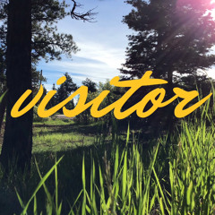 visitor