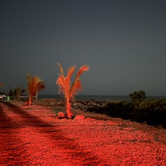 meshal