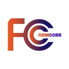 Home Almond Oil Production How Flora Oil Machine Simplifies The Process