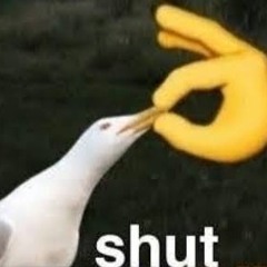somebody