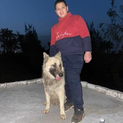 Mohamed Yahia