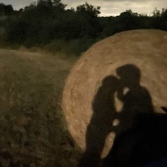 Mxrt