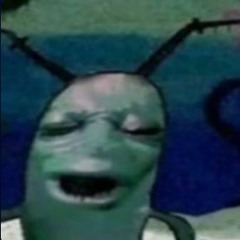 Чікітампоні