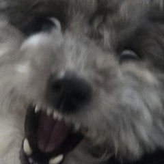 마리화나썽（▼へ▼メ）