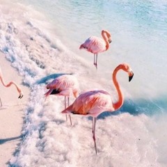 shitwithcoolvibes
