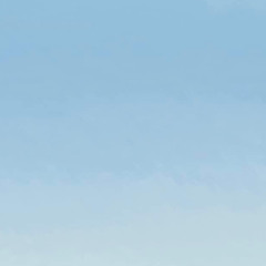 the moon