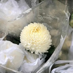 Vinh Trương
