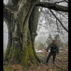 Jose Felix Palacios L