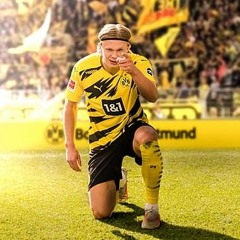 Toto_raizone43