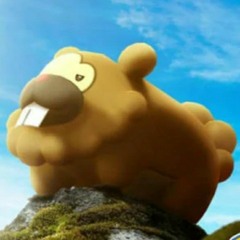 MasterBidoof