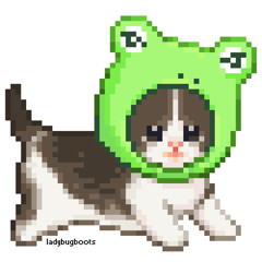 frogalicious cat