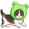 frogalicious cat