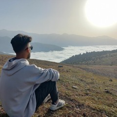 Mohammadreza