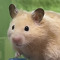 buttrz