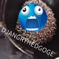 DJANGRYHEDGOGE