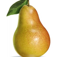 скибиди