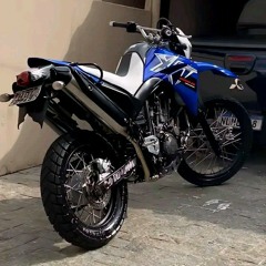 bx do rda