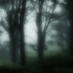 b u r n i n g m e m o r i e s