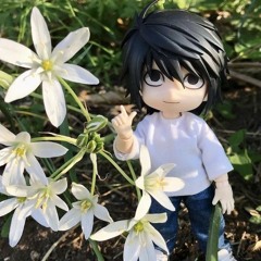 ¿lawliet?