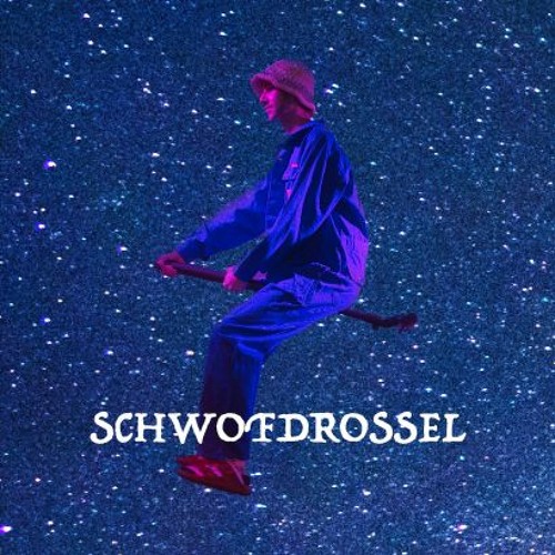 Schwofdrossel’s avatar