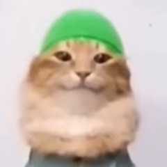 Sanii BoSan