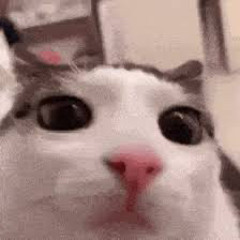 paul