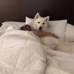 I Wish It Weren’t So