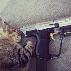 ‎