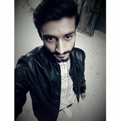 Raja Bilal Hussain