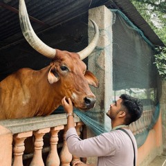 Priyanshu Sharma