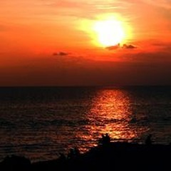 Marc Casadejust Espasa