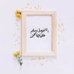 سناء محمد