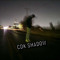 CDK Shadow