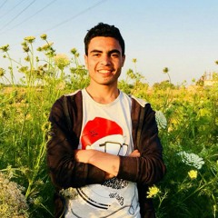 Mohamed Ismail