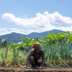 weeder_mower