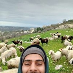 محمود يامين