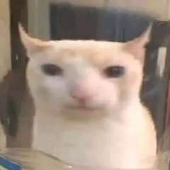 missu