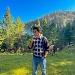 Mr Mirza