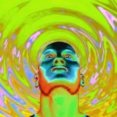 Goanaut