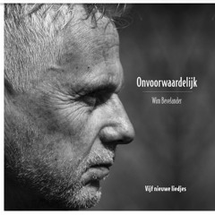 Wim Bevelander