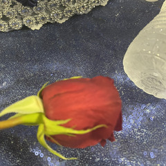 Reddnote