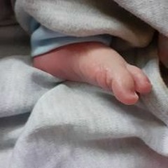 Alaa Shaban