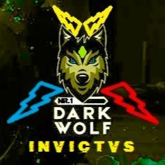 DarkWolfINVICTVS